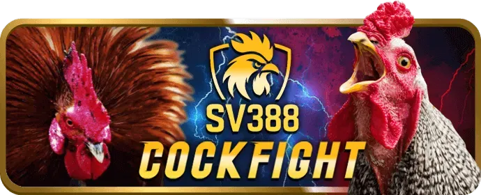 Chương trình hoàn trả Bắn Cá keonhacai m88